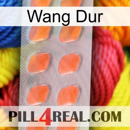Hard Wang 26